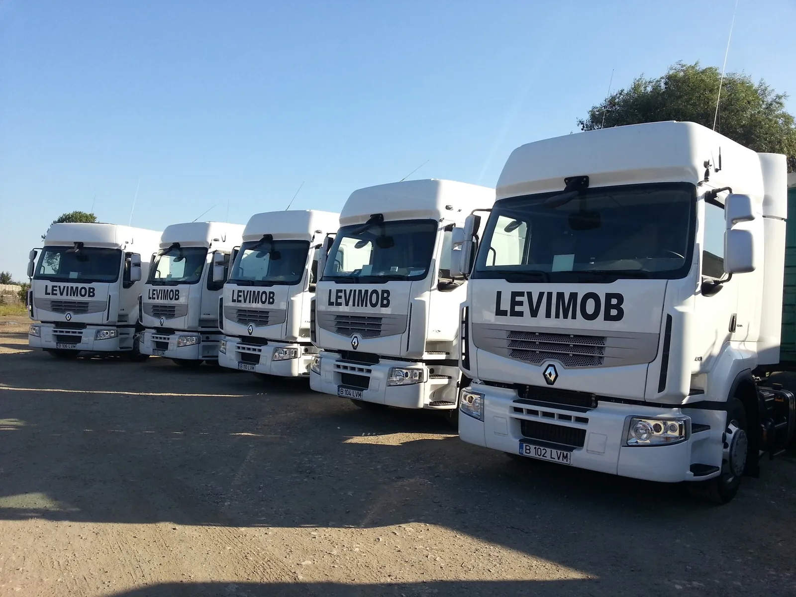 levimob1